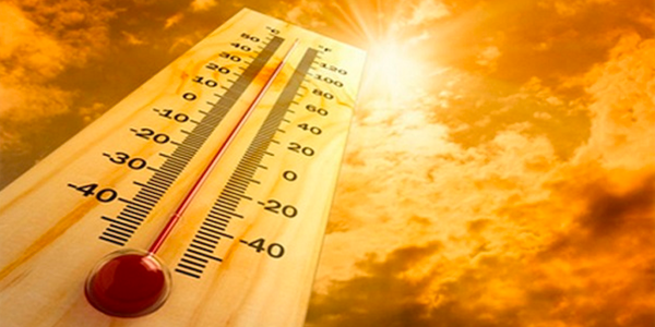 caldo caldo
