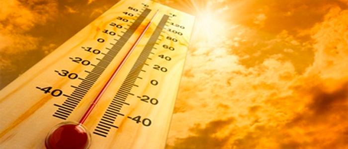 caldo caldo